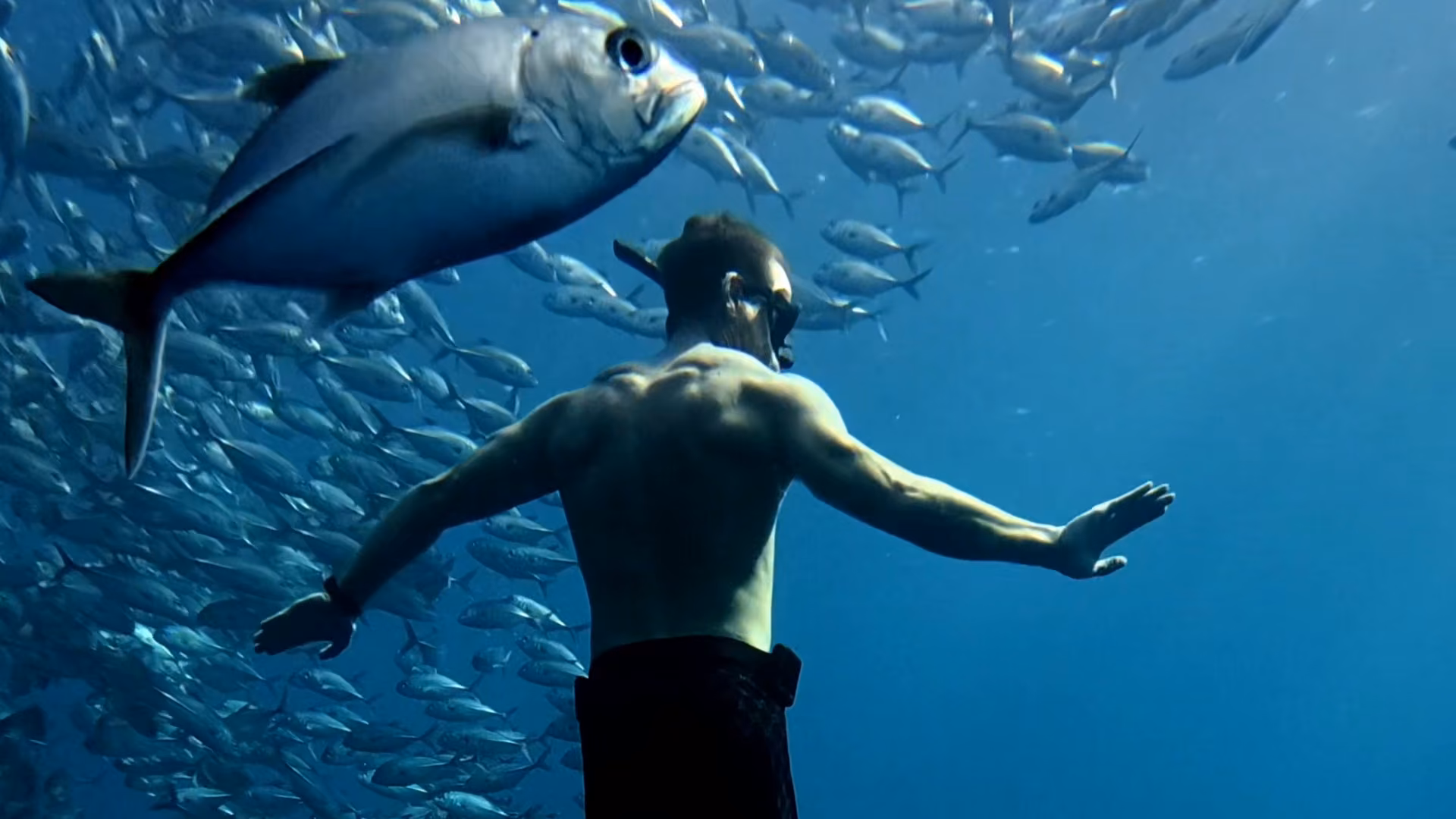 Freediver surrounded by a school of fish in Bali